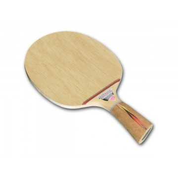 Madera DONIC Waldner Dotec AR